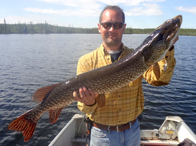 Chuck Walleye