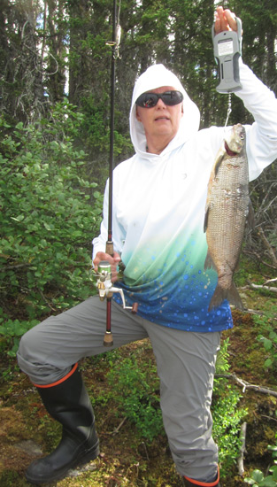 huge whitefish