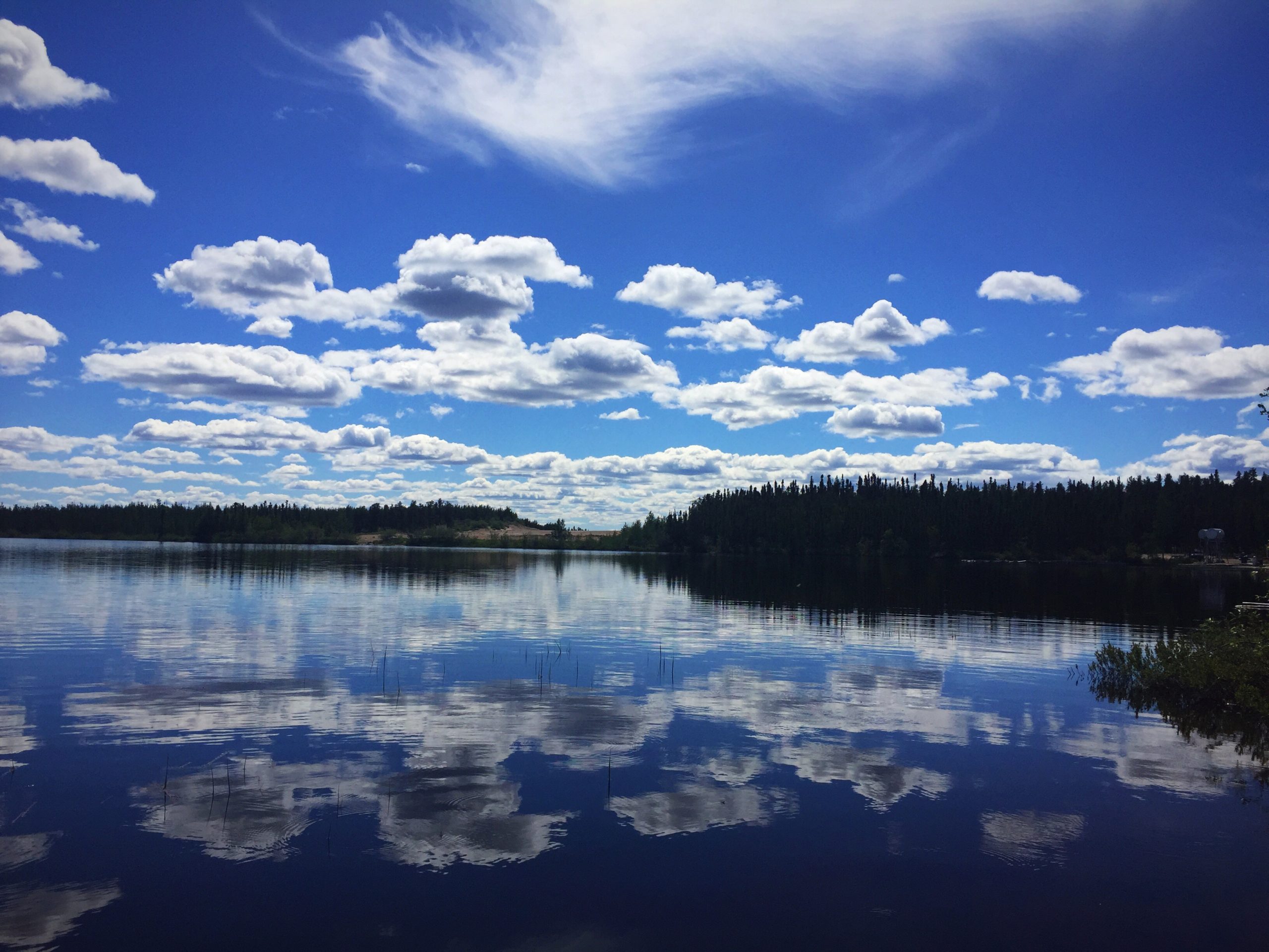 landscape of a tree lined lake and the blue skies with white fluffy clouds reflecting off the lake