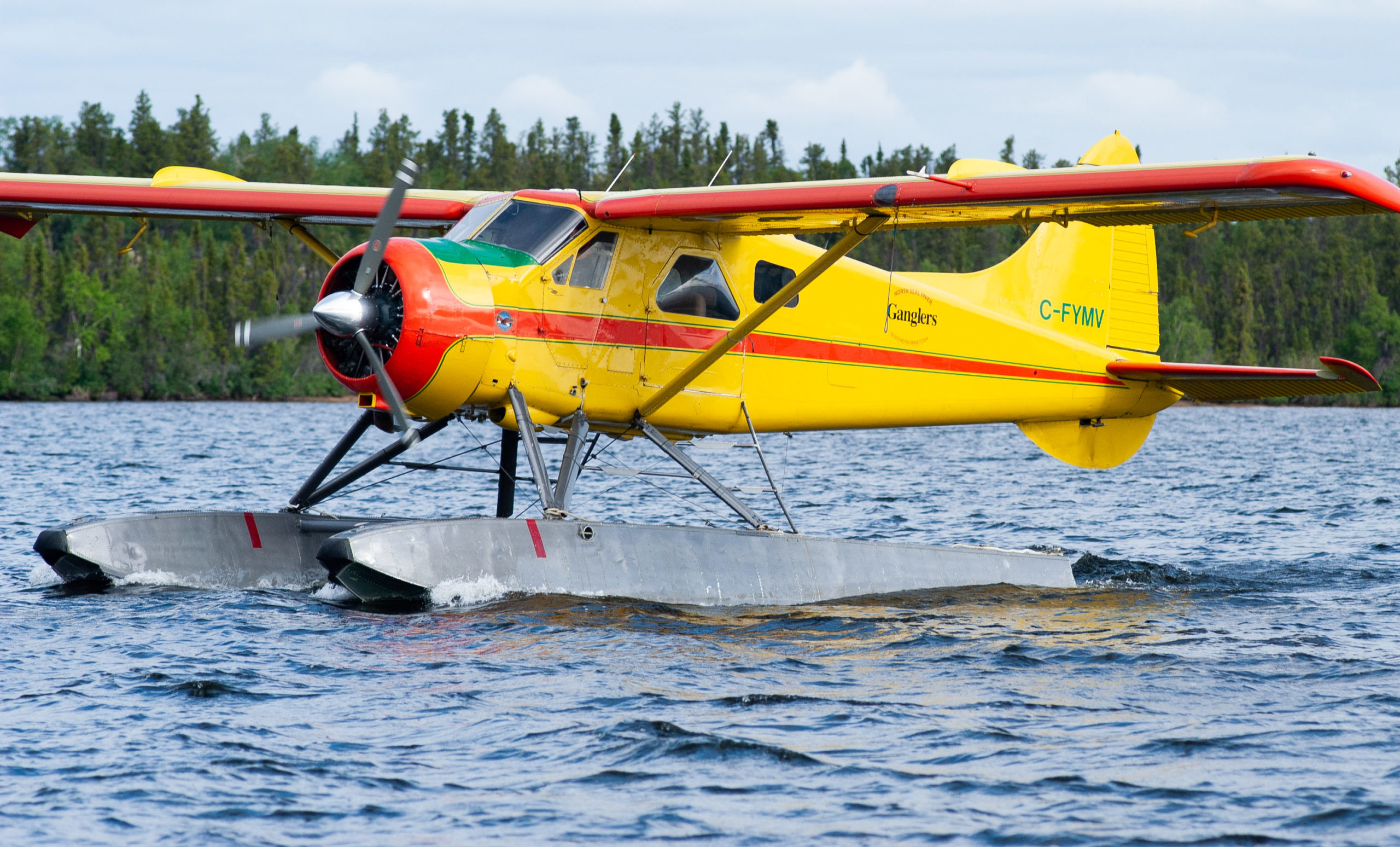 Yellow Gangler's floatplane landing in water