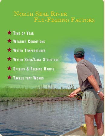 fly fishing graphic for fishing factors