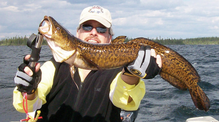 Man hold up a burbot fish while sitting in a boat.