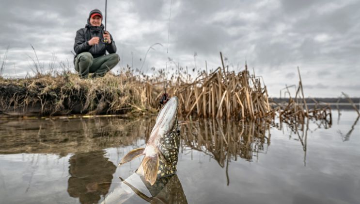 Dos and Don’ts of Pike Fishing in Remote Canadian Waters